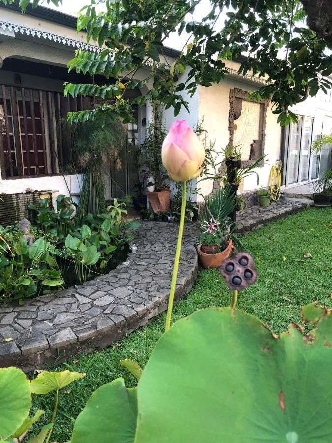 Ti Kaz Lo Ker Chambre D'Hote Chez L'Habitant แซ็ง-โฌเซฟ ภายนอก รูปภาพ