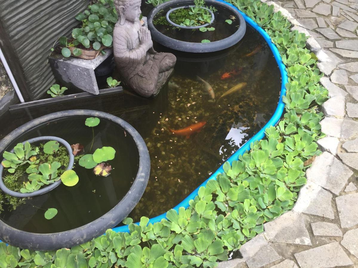 Ti Kaz Lo Ker Chambre D'Hote Chez L'Habitant แซ็ง-โฌเซฟ ภายนอก รูปภาพ